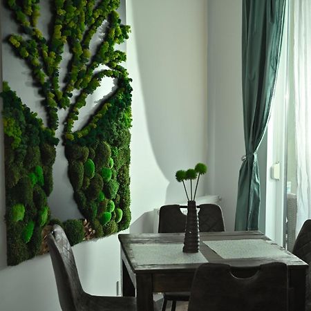 Mirvana Apartments Metheor Executive Suite Temešvár Exteriér fotografie