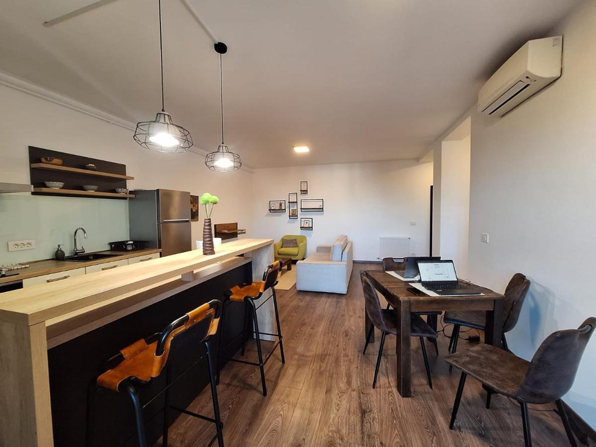 Mirvana Apartments Metheor Executive Suite Temešvár Exteriér fotografie