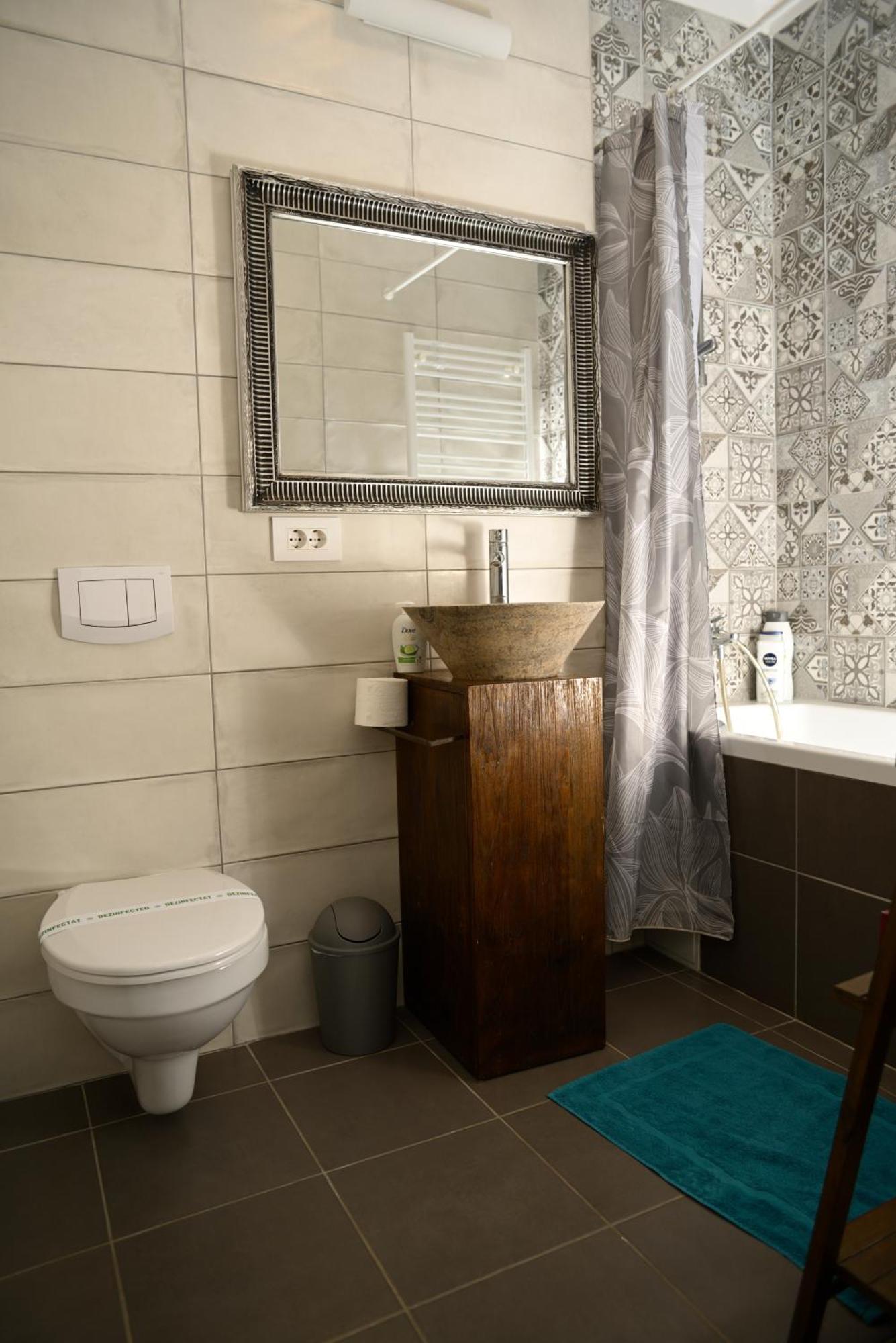 Mirvana Apartments Metheor Executive Suite Temešvár Exteriér fotografie